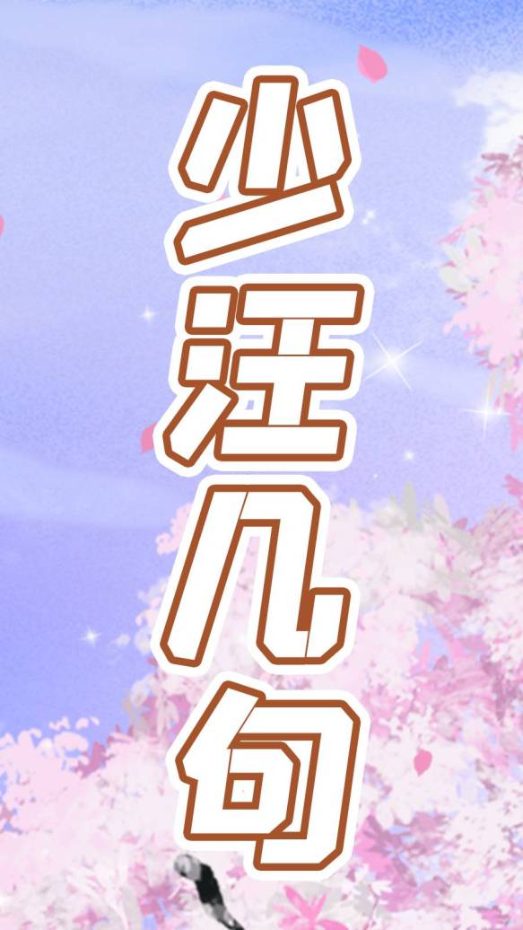 少汪几句第一季