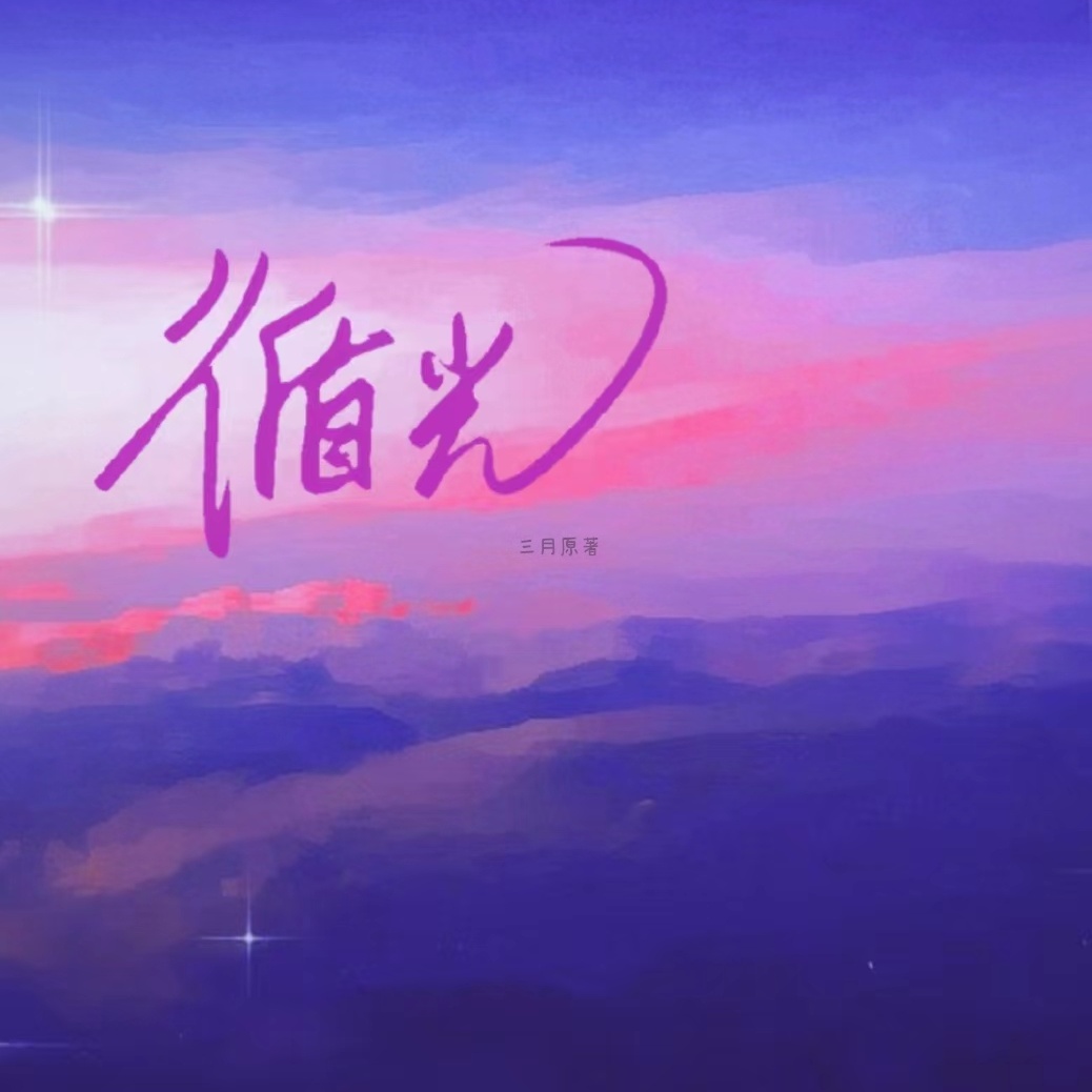 循光