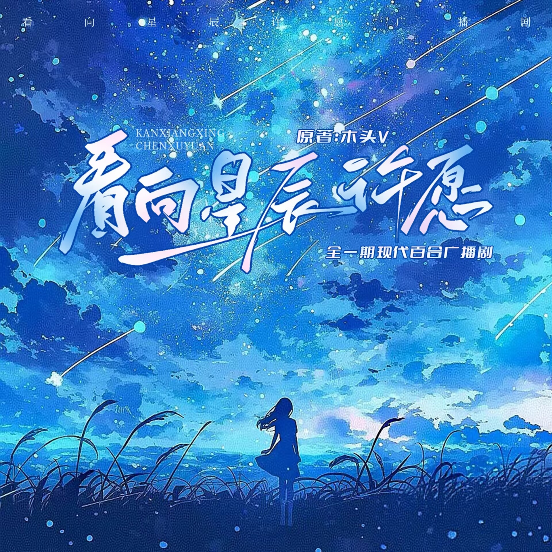 看向星辰许愿